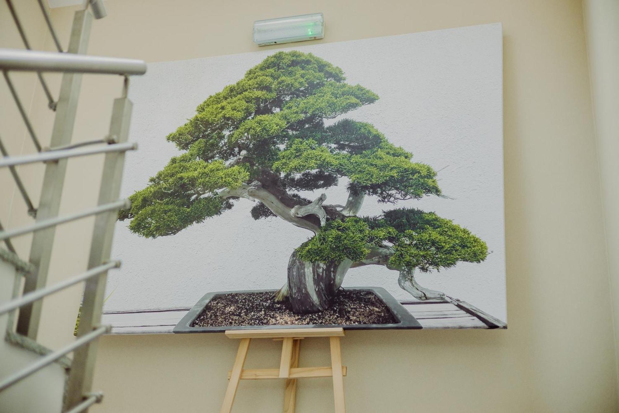 Hotel Bonsai Niemcza Bagian luar foto